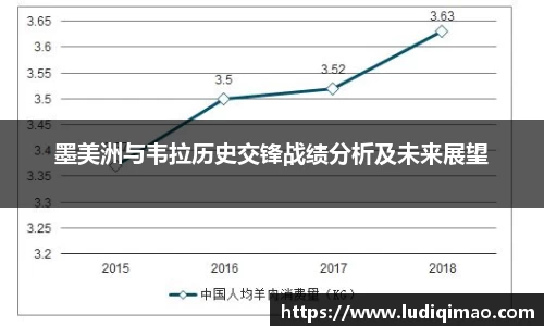 墨美洲与韦拉历史交锋战绩分析及未来展望